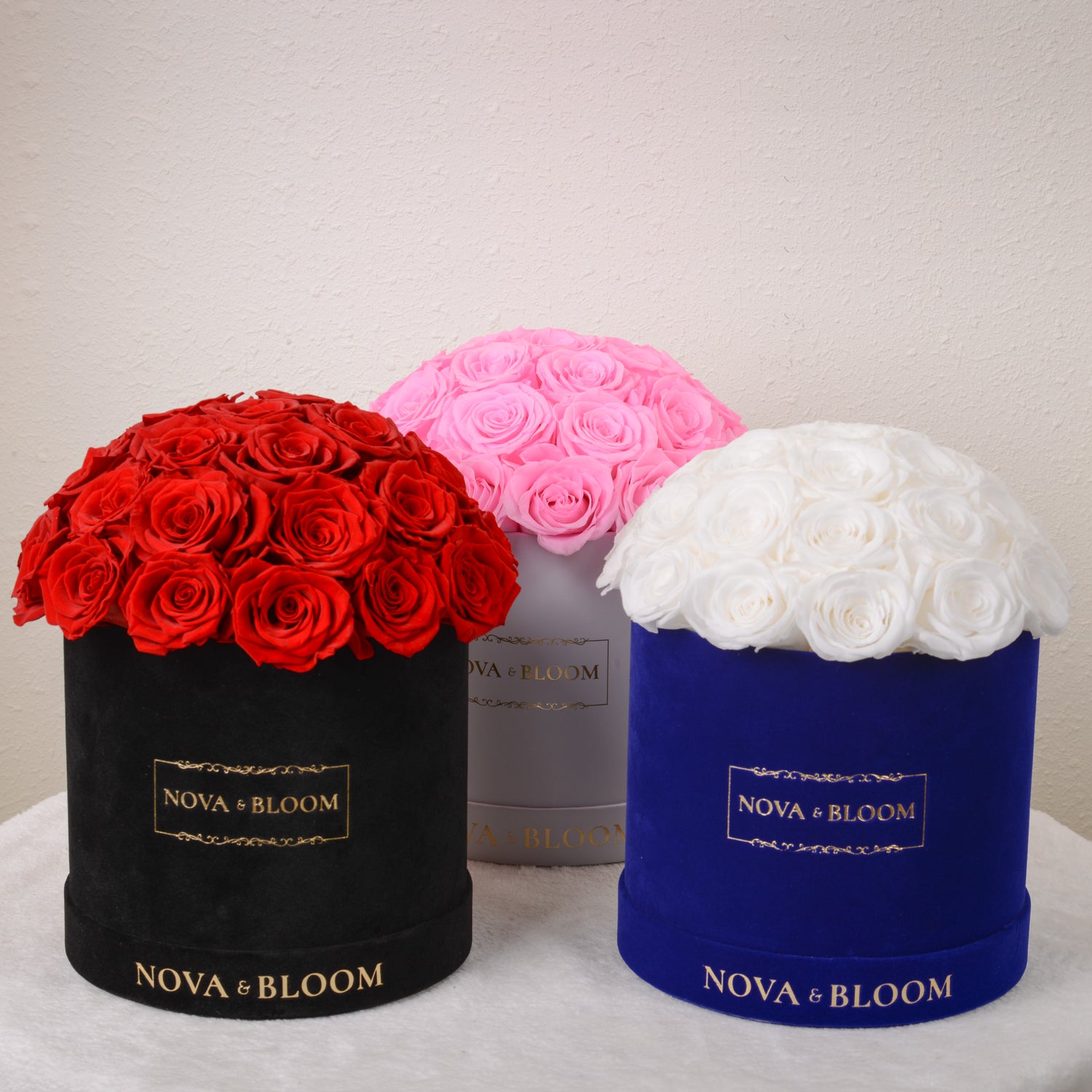 Luxury Velvet Eternal Blooms