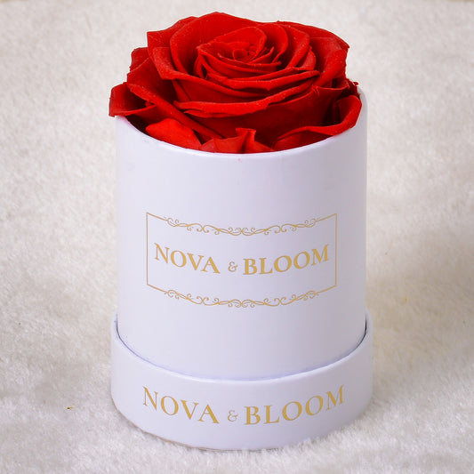 Single White Round Eternal Bloom - Red Preserved Rose - Front View