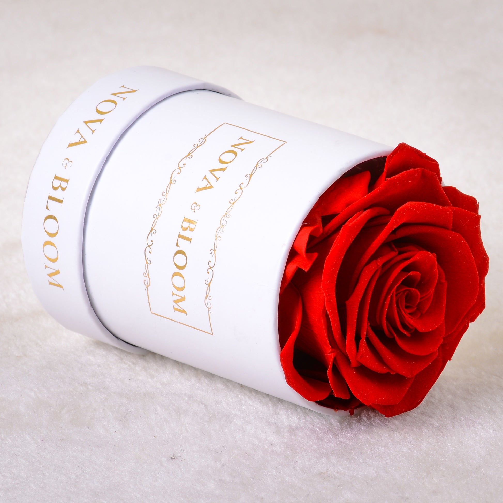 Single White Round Eternal Bloom - Red Preserved Rose - Side View