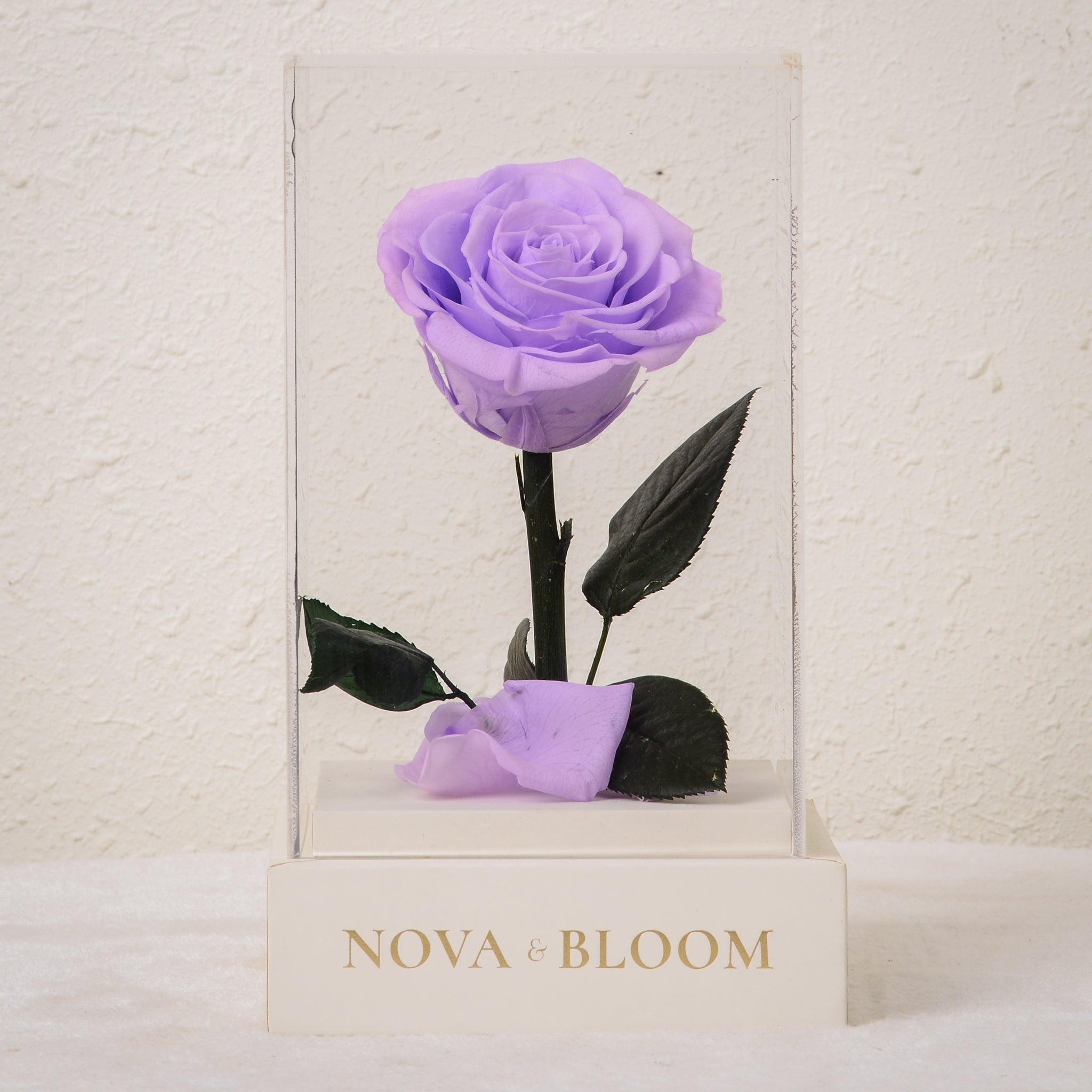 Acrylic Single Stem Eternal Bloom | Lavender Rose – Nova & Bloom