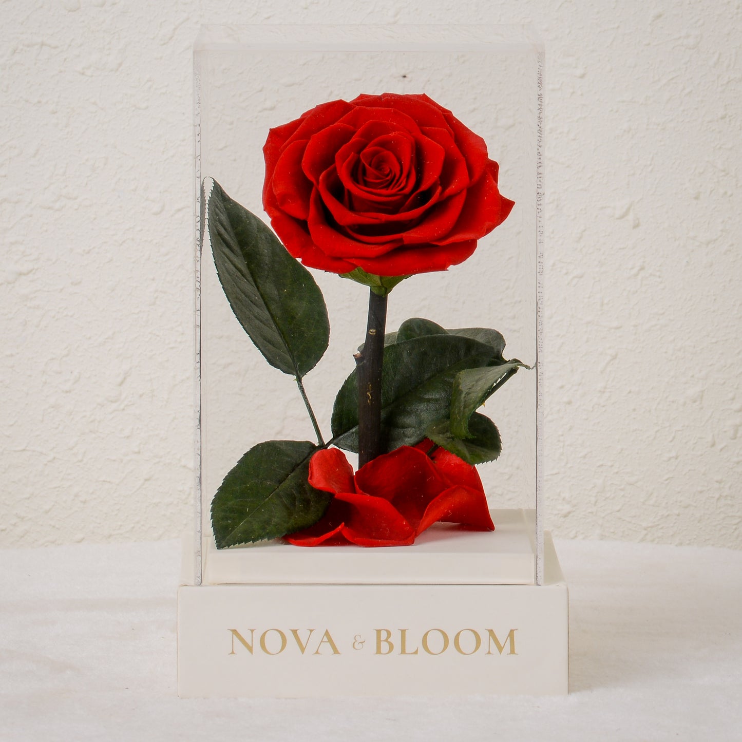 Acrylic Single Stem Eternal Bloom | Lavender Rose