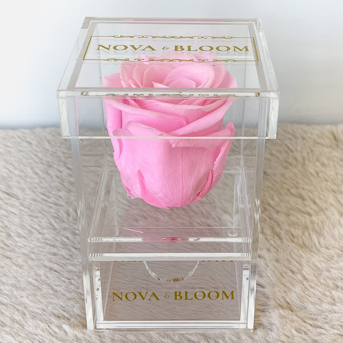 Single Acrylic Jewellery Box - Pink Preserved Rose - Front View