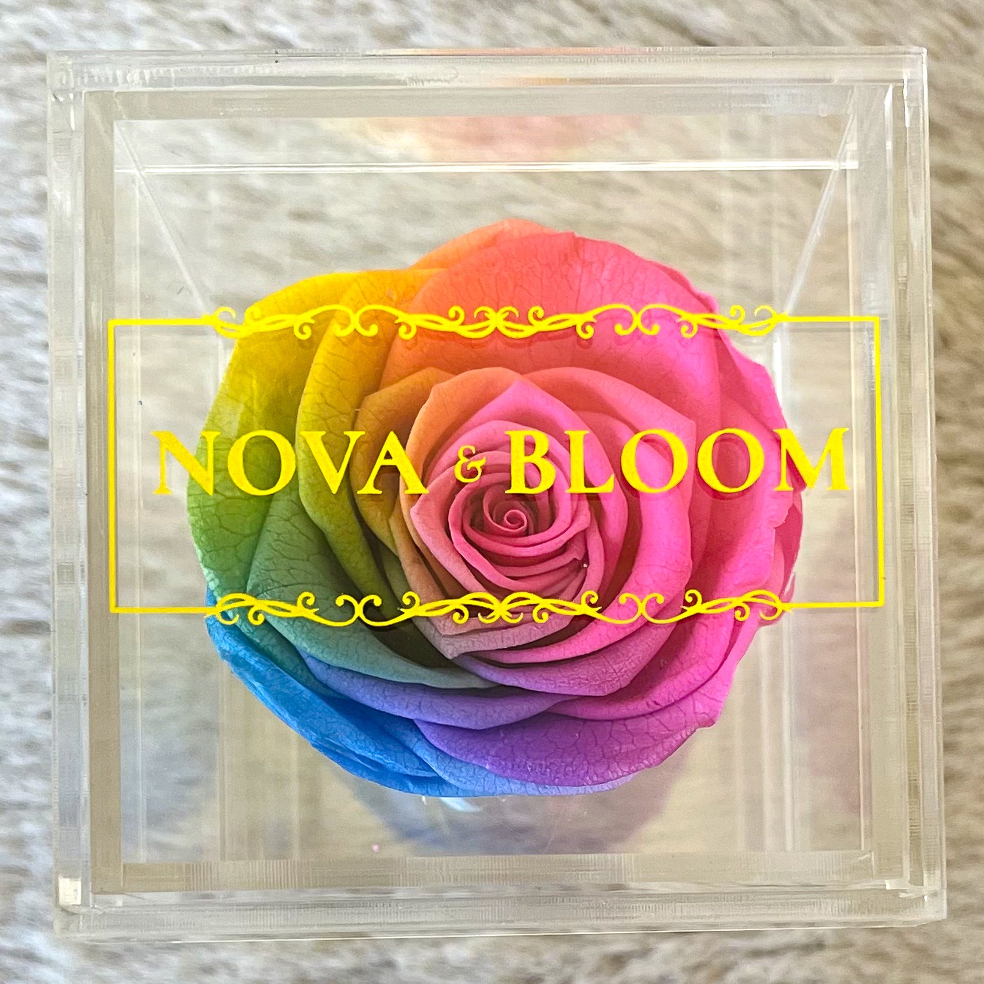 Single Acrylic Jewellery Box - Rainbow Preserved Rose - Top View 