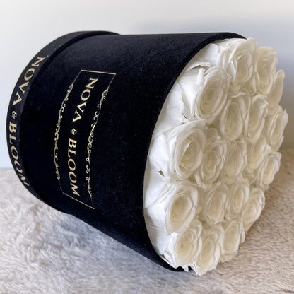 Large Black Velvet Round Arrangement - White Preserved Roses - Side View